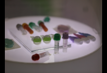 GSK宮頸癌疫苗獨(dú)享半年窗口期