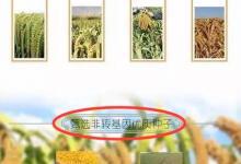 市面上尚無轉基因小米 崔永元網店想賣