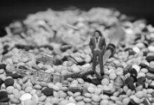 振東制藥旗下兩款注射液現不良反應 遭下令召回