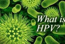 諾貝爾生理學(xué)或醫(yī)學(xué)獎(jiǎng)風(fēng)向標(biāo)：HPV疫苗研究進(jìn)展！