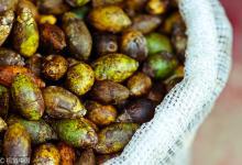 小伙每天4包檳榔嚼得張不開嘴 醫生：可致口腔癌