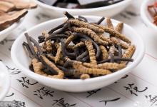 冬蟲夏草不含抗癌成分蟲草素？中醫專家：是否抗癌與此無關