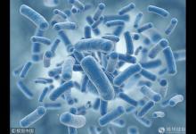 《流感下的北京中年》刷屏 中日醫(yī)院呼吸專家教你更懂流感！