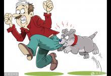 春節門急診接診超25萬人次 犬咬傷升15%