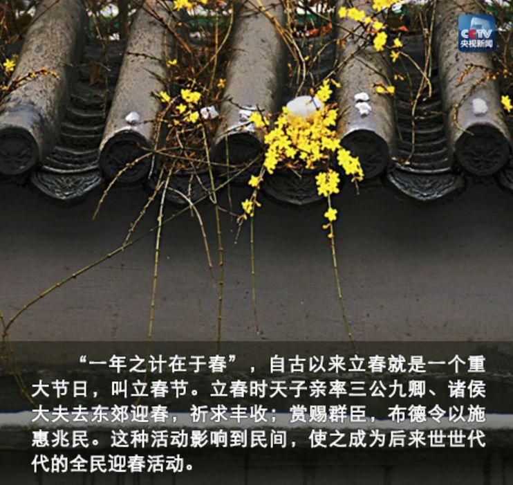 夜讀丨立春：人隨春好，春與人宜