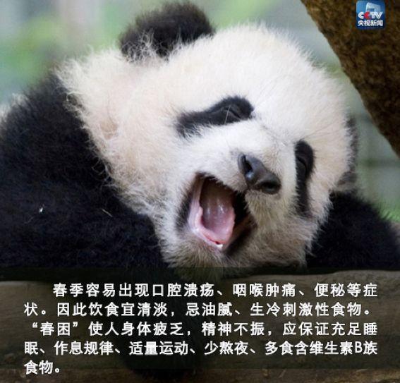 夜讀丨立春：人隨春好，春與人宜