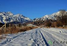 美國極寒天氣 寒冷天氣對人的危害有哪些