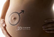 母親的“詛咒”：為什么女人比男人更長壽？