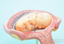 科學家稱PM2.5可到達子宮！準媽媽你怕了嗎？