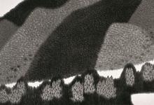 丹青也是可以做“妙手”，既養心又養生！