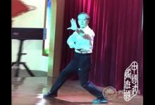上海崇明戴迪養(yǎng)生基地舉行中華武藝展示活動