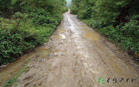 男孩牽手失明母親 失明的原因有哪些