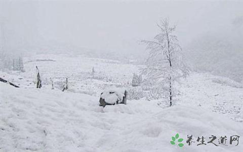 玉樹雪災(zāi)啟動(dòng)救災(zāi) 大雪天氣的安全注意事項(xiàng)
