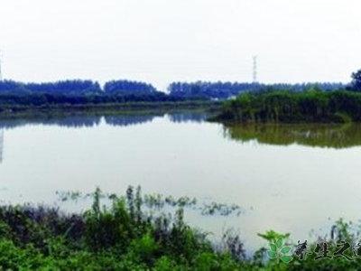 南京溧水地震 發(fā)生地震該怎么辦