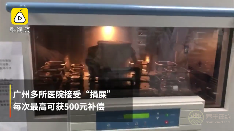 廣州多所醫院接受“捐屎”:每次最高可獲五百元補償