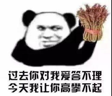 喜提蔬菜界“愛馬仕”？這種野菜成春日新寵