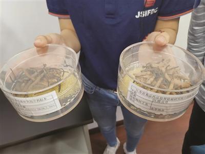 一感冒狂補維C，靠譜嗎？