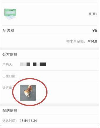 寵物照片充當處方竟能網購處方藥