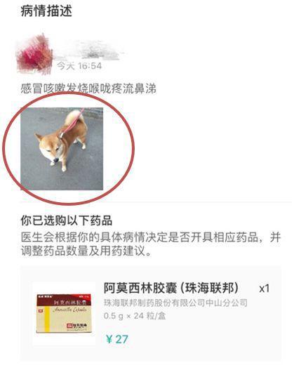 寵物照片充當處方竟能網購處方藥