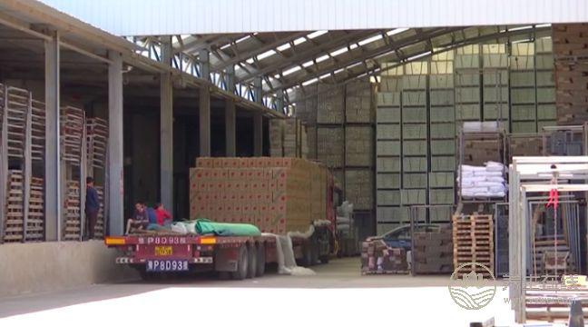 天價蘋果幕后，竟然是這一群人在幕后推手