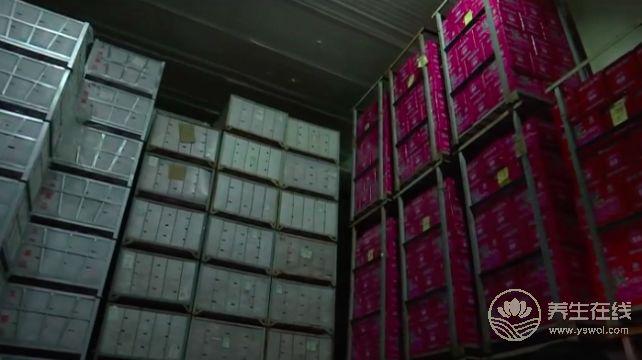 天價蘋果幕后，竟然是這一群人在幕后推手