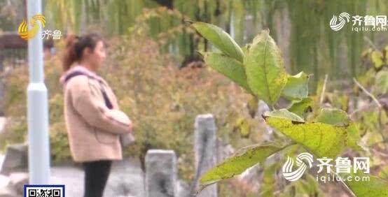 濟南熙美人整形醫(yī)院把人鼻子嗅覺給整沒了?醫(yī)院:需第三方鑒定-易網(wǎng)健康<a href=http://m.henggaotouzi.com/jkys/ target=_blank class=infotextkey>養(yǎng)生</a>網(wǎng) 濟南熙美人整形醫(yī)院把人鼻子嗅覺給整沒了?醫(yī)院:需第三方鑒定