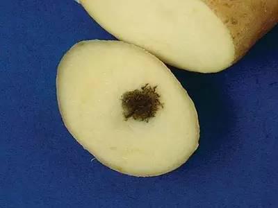 提醒：這種食鹽千萬別買會吃死人 央視已曝光