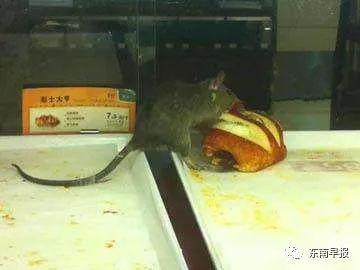 85°C指甲門事件最新：泉州85度C被食藥監(jiān)局約談 部門將開展檢查