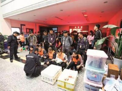 起底10億驚天詐騙案：神藥成分為糖每粒成本2元 每盒40萬