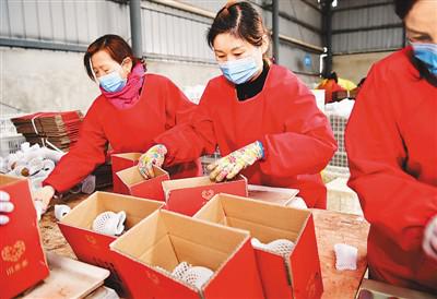 一季度全國農產品電商直播超過400萬場