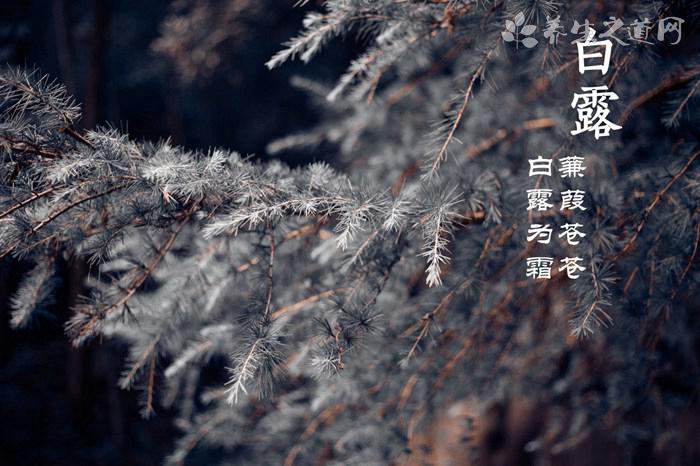 深圳特大暴雨 暴雨天氣怎么辦