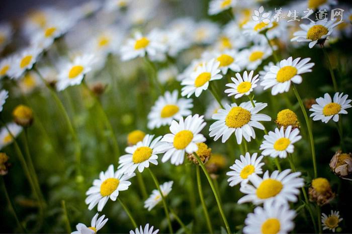 游客破壞七彩丹霞 丹霞的七彩顏色如何形成