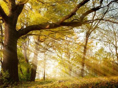 剛開學(xué)就放高溫假 高溫天氣要注意什么