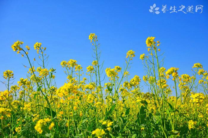 美國新冠肺炎確診病例超614萬例 新冠病毒在秋季存活時間會更長嗎