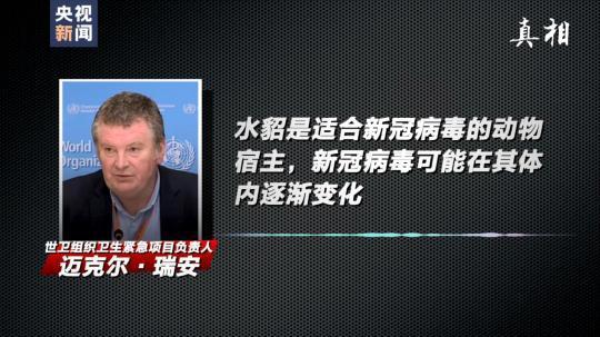 四問搞懂：丹麥變異新冠病毒“貂傳人”究竟多嚴重