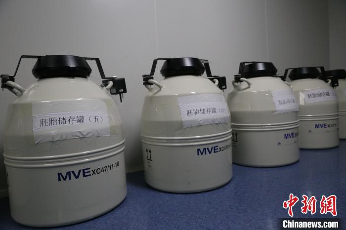 寧夏銀川：科技賦能 讓輔助生殖技術“茁壯成長”