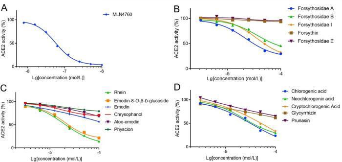 連花清瘟如何抑制新冠？最新研究發現大黃酸等成分有顯著作用