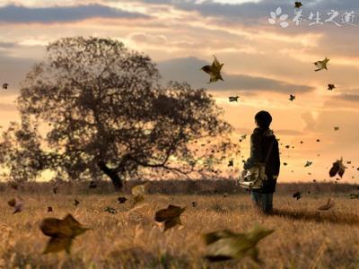 元宵節最佳賞月時間 一般元宵節吃什么