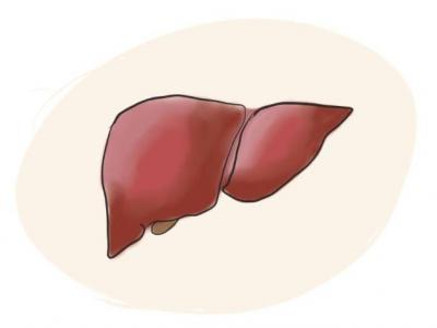 中國慢性肝病患者或超4億人 如何呵護“小心肝”？