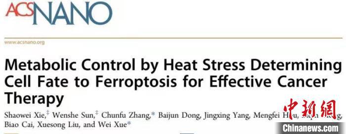 中國學者率先發現“殺死”前列腺癌細胞新策略