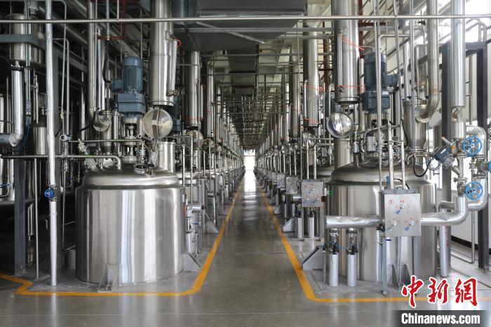 葛洪醫(yī)藥遺產(chǎn)在廣東羅浮山得到傳承 已研制180多個(gè)醫(yī)藥品種