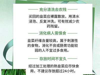 春食韭菜升發陽氣這樣吃新鮮又安全