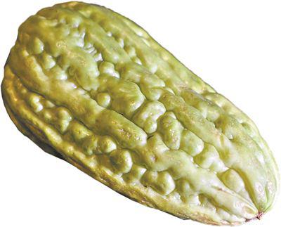 炎夏“君子菜”個性又包容