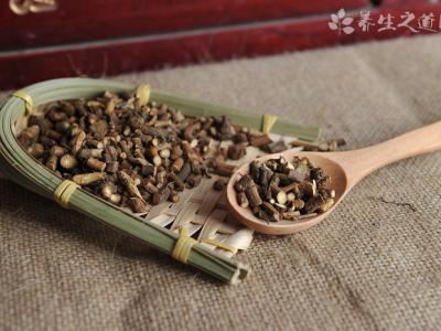 最大利好！中醫藥立法，大批中藥將進醫保！