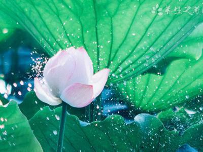 河南遭遇極端強(qiáng)降雨 嵩山新密現(xiàn)歷史大暴雨