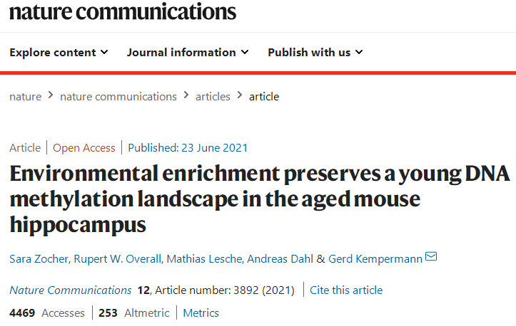 完全躺平，就能成為一個(gè)“快樂(lè)的廢物”嗎？