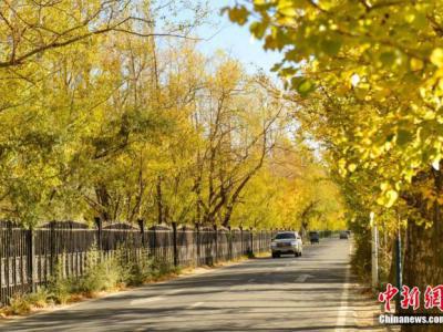 又到一年秋游好時(shí)節(jié) 專家提醒警惕秋季花粉過敏