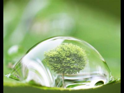 為啥要買綠化好的小區(qū)？PNAS：小區(qū)綠化好，小孩成年后精神病風(fēng)險降低