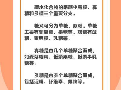減肥真的需要“0碳水”嗎？這樣科學“食碳”保持身體健康
