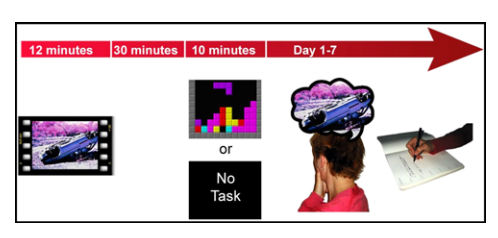 恐怖片不僅能緩解焦慮，還能幫脫單！奇怪的知識增加了